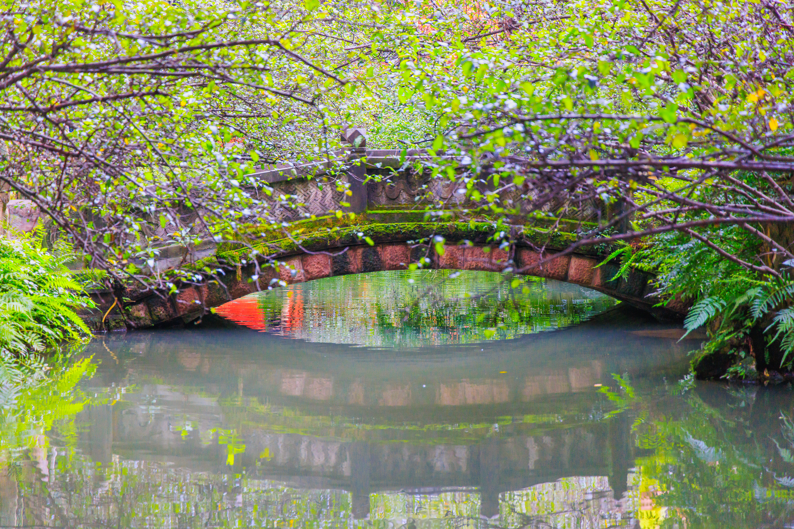 Brücke